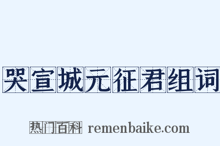 哭宣城元征君组词是什么意思的图片